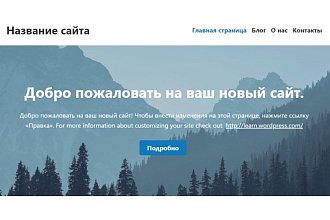 Создам сайт на Wordpress