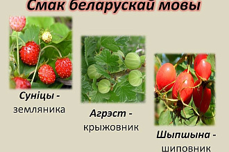 Переводы текстов. Русский и белорусский языки