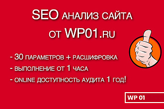 SEO анализ сайта по 30 параметрам