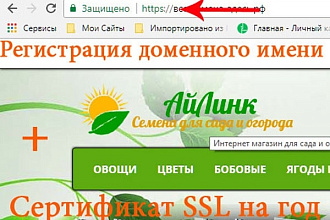 Домен в зоне .ru с сертификатом SSL