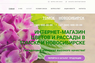 Создание многостраничного сайта с каталогом на Nethouse