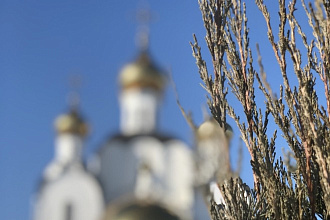 Напишу поздравление на свадьбу трогательное и душевное
