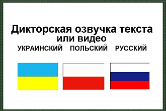 Озвучу текст или видео
