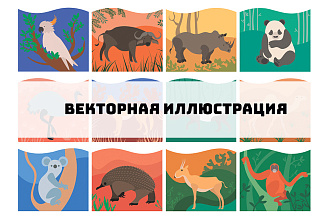 Создам векторную иллюстрацию