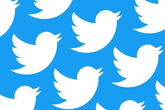 800 подписчиков в Twitter, ТОП читатели
