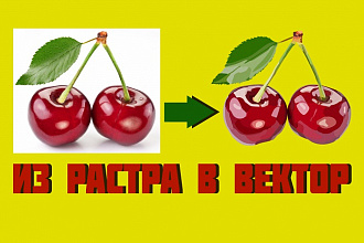 Отрисовка в векторе любого растрового изображения