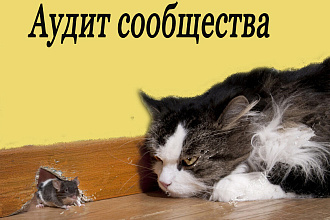 Аудит сообщества ВКонтакте