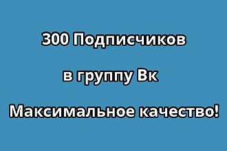 300 Подписчиков в группу Вк. Максимальное качество по критериям