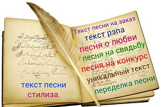 Напишу текст песни переделки