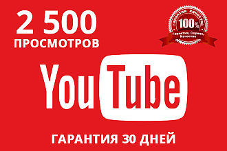 2500 реальных просмотров видео YouTube. Быстро. Качественно