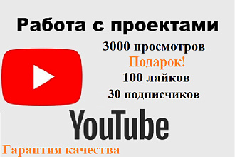 3000 просмотров Youtube