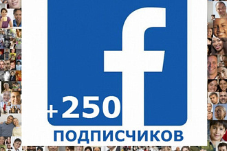 +250 подписчиков на паблик в facebook