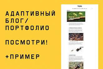 Создам блог или портфолио на Wordpress