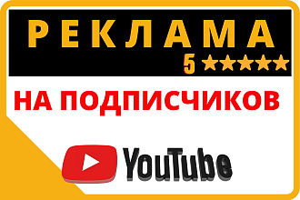 Привлеку целевых подписчиков на ваш канал через видео Рекламу Ютуб