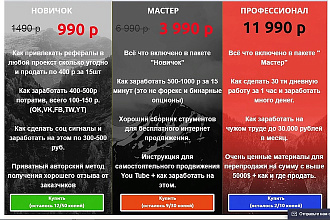 Лендинг под ключ Домен и Хостинг включено