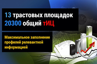 Качественное размещение 13 ссылок с максимальным заполнением, тИЦ площадок 20300