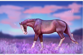 Нарисую иллюстрацию