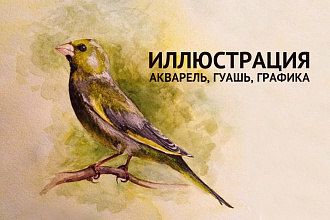 Иллюстрация