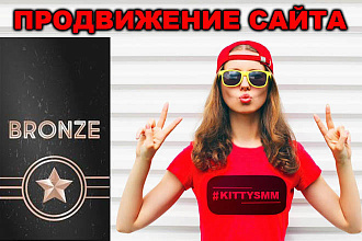 Продвижение сайта 1 запрос с защитой в Яндексе