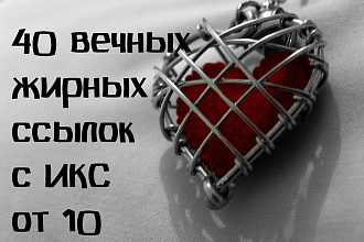 40 трактовых ссылок с ИКС от 10