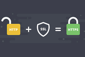 Установлю и настрою SSL сертификат https