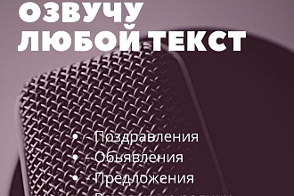 Озвучка любого текста 1 мин