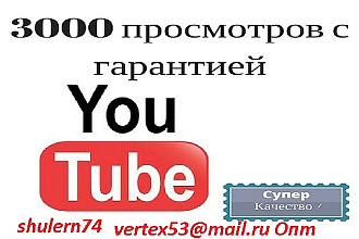 Доброго всем дня. Любая тематика видео. 3000 Просмотров, Гарантия