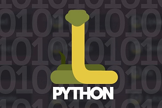 Напишу программу на python