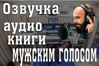 Озвучка аудиокниги мужским голосом