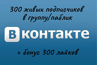 300 живых подписчиков в группу + бонус 300 лайков