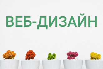 Дизайн 1 страницы сайта