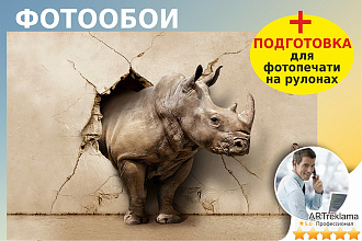 Разработаю дизайн макет фотообои под интерьерную печать