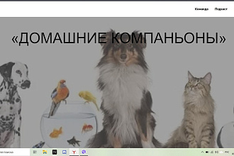 Создам сайт на тильде