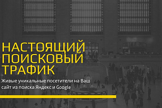 Живой трафик из поиска. Настоящие посетители на сайт из поисковиков