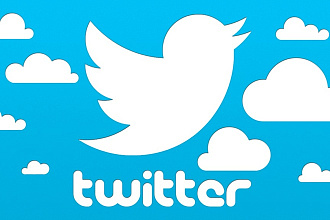 Twitter - раскрутка виджета