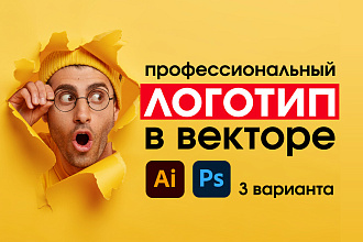 Профессиональный логотип в векторе + исходники в подарок