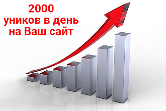 2000 уникальных посетителей в день на ваш сайт, или 14000 за 7 дней
