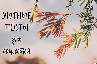 Посты под Ваш запрос, грамотно, быстро