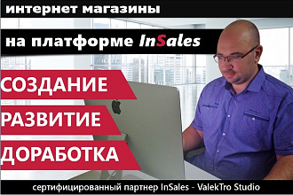 Наполнение интернет-магазина inSales товаром. 15 карточек