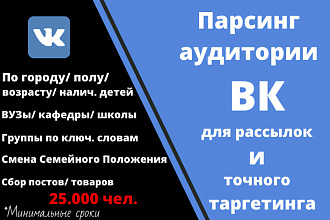 Парсинг и фильтрация целевой аудитории ВКонтакте