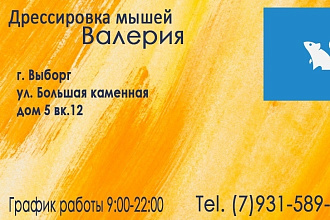 Создам визитку