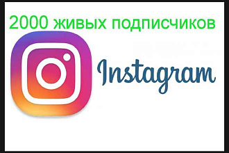 2000 подписчиков в инстаграме
