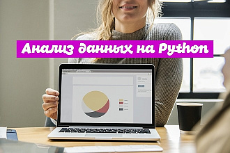 Выполню анализ данных на Python