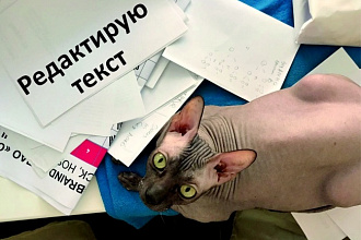 Редактирование вашего текста