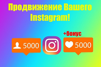 5000 подписчиков инстаграм + Бонус 5000 лайков