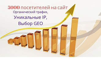 Приведу 5000 посетителей на сайт. Уникальные IP, выбор GEO