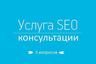 Проф.консультация по SEO