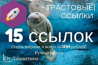 15 вечных жирных ссылок с трастовых сайтов. Ручная работа