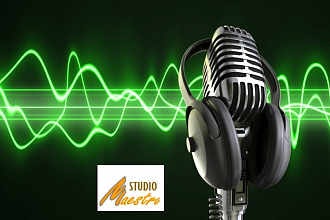 Все виды работ с вашим audio материалом. Профессионально, качественно