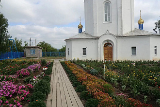База компании Сурск